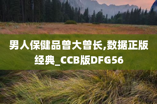 男人保健品曾大曾长,数据正版经典_CCB版DFG56