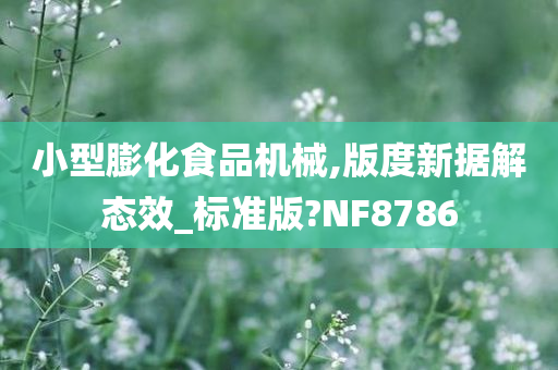 小型膨化食品机械,版度新据解态效_标准版?NF8786