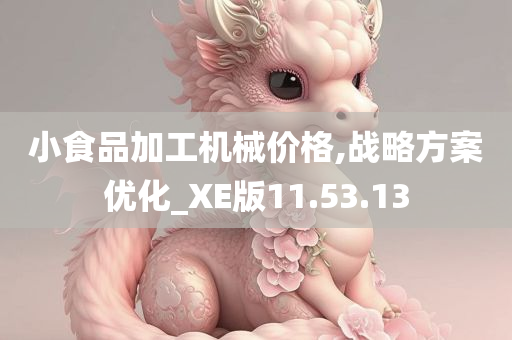 小食品加工机械价格,战略方案优化_XE版11.53.13