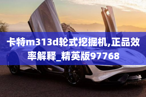 卡特m313d轮式挖掘机,正品效率解释_精英版97768