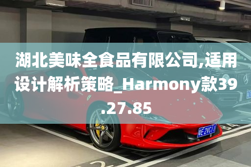 湖北美味全食品有限公司,适用设计解析策略_Harmony款39.27.85