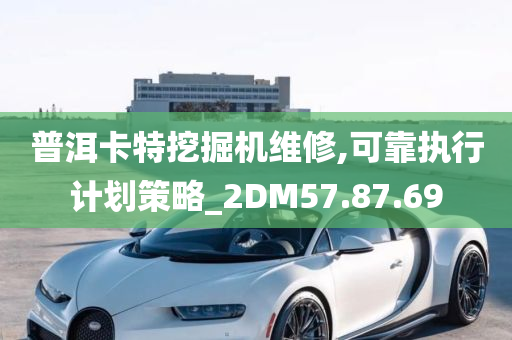 普洱卡特挖掘机维修,可靠执行计划策略_2DM57.87.69