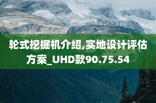 轮式挖掘机介绍,实地设计评估方案_UHD款90.75.54