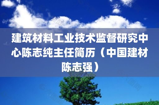 建筑材料工业技术监督研究中心陈志纯主任简历（中国建材陈志强）