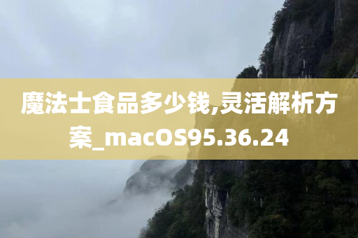 魔法士食品多少钱,灵活解析方案_macOS95.36.24