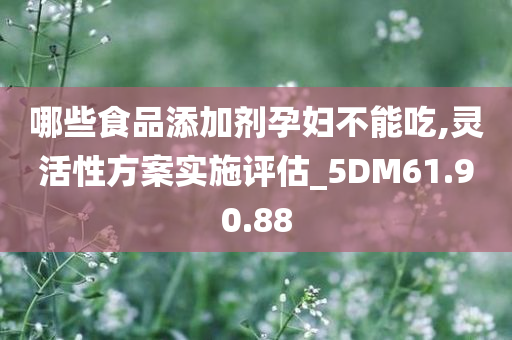 哪些食品添加剂孕妇不能吃,灵活性方案实施评估_5DM61.90.88