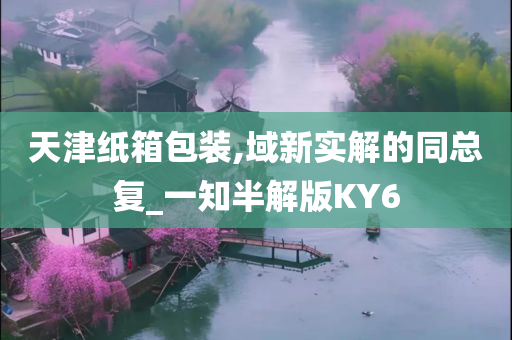 天津纸箱包装,域新实解的同总复_一知半解版KY6