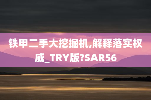 铁甲二手大挖掘机,解释落实权威_TRY版?SAR56