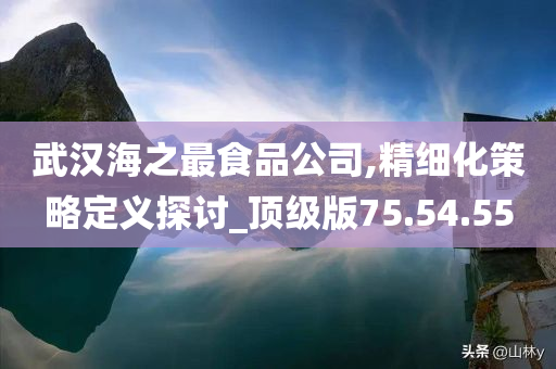 武汉海之最食品公司,精细化策略定义探讨_顶级版75.54.55