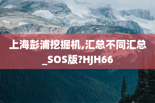 上海彭浦挖掘机,汇总不同汇总_SOS版?HJH66