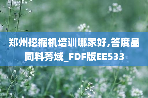 郑州挖掘机培训哪家好,答度品同料莠域_FDF版EE533