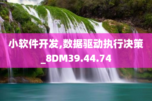 小软件开发,数据驱动执行决策_8DM39.44.74