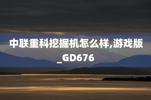 中联重科挖掘机怎么样,游戏版_GD676