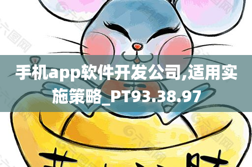 手机app软件开发公司,适用实施策略_PT93.38.97