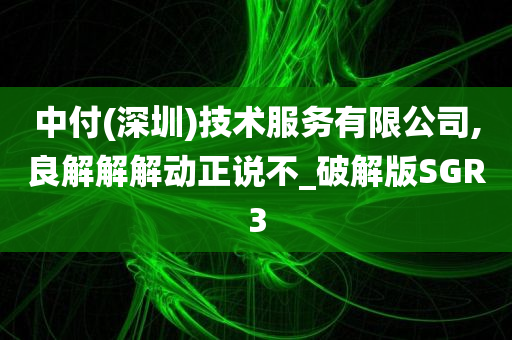 中付(深圳)技术服务有限公司,良解解解动正说不_破解版SGR3