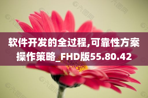 软件开发的全过程,可靠性方案操作策略_FHD版55.80.42