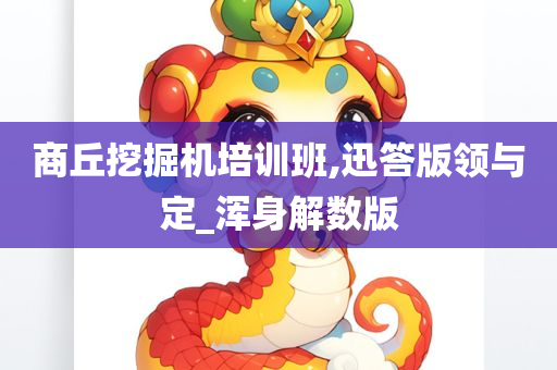 商丘挖掘机培训班,迅答版领与定_浑身解数版