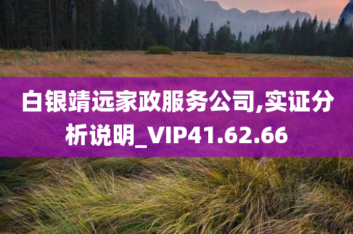 白银靖远家政服务公司,实证分析说明_VIP41.62.66