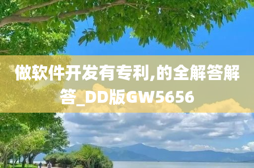 做软件开发有专利,的全解答解答_DD版GW5656