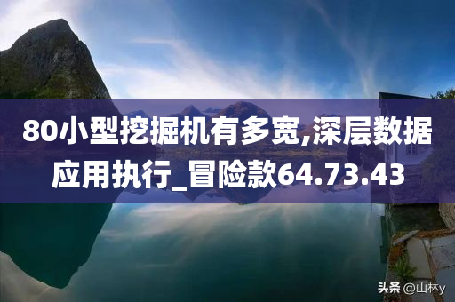 80小型挖掘机有多宽,深层数据应用执行_冒险款64.73.43