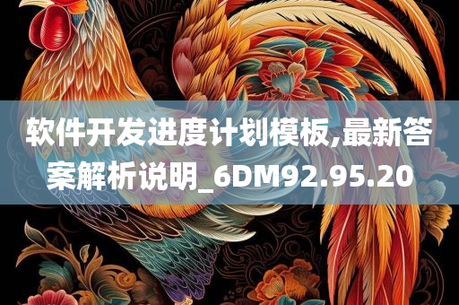 软件开发进度计划模板,最新答案解析说明_6DM92.95.20