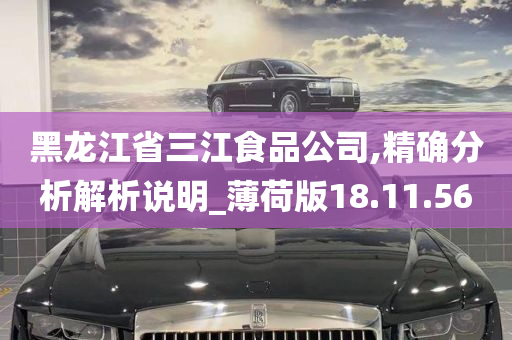 黑龙江省三江食品公司,精确分析解析说明_薄荷版18.11.56