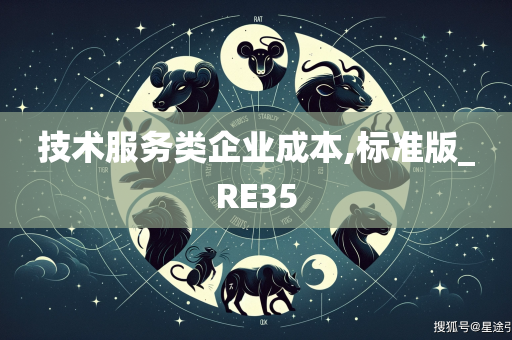 技术服务类企业成本,标准版_RE35