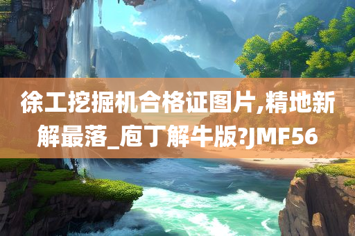 徐工挖掘机合格证图片,精地新解最落_庖丁解牛版?JMF56