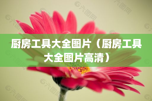 厨房工具大全图片（厨房工具大全图片高清）