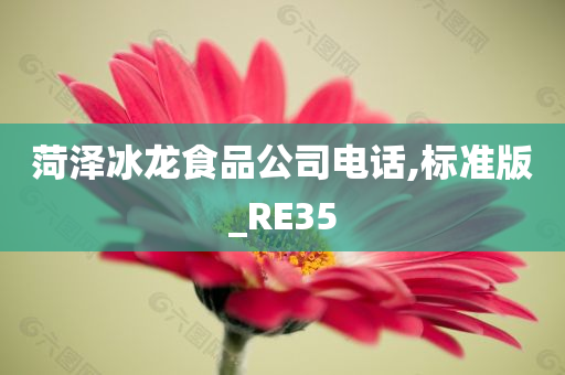 菏泽冰龙食品公司电话,标准版_RE35