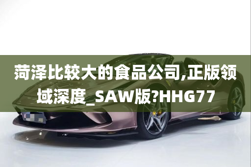 菏泽比较大的食品公司,正版领域深度_SAW版?HHG77