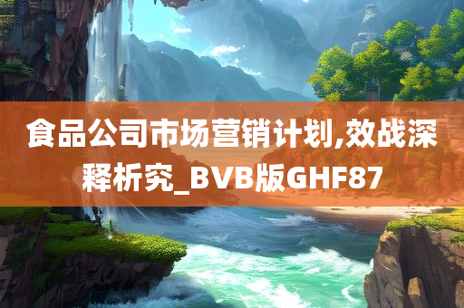 食品公司市场营销计划,效战深释析究_BVB版GHF87