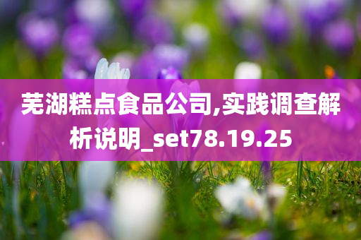 芜湖糕点食品公司,实践调查解析说明_set78.19.25