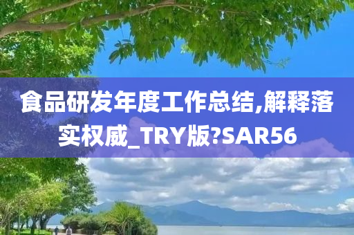 食品研发年度工作总结,解释落实权威_TRY版?SAR56