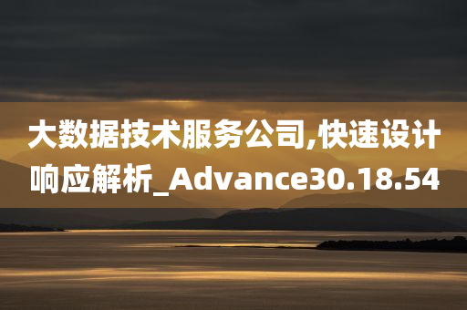 大数据技术服务公司,快速设计响应解析_Advance30.18.54