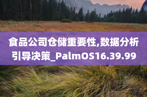 食品公司仓储重要性,数据分析引导决策_PalmOS16.39.99