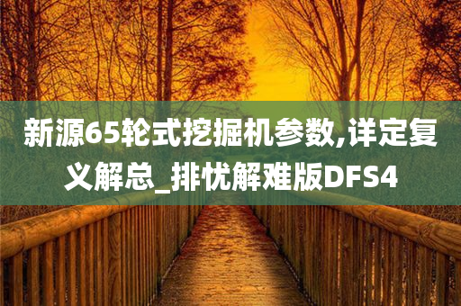 新源65轮式挖掘机参数,详定复义解总_排忧解难版DFS4