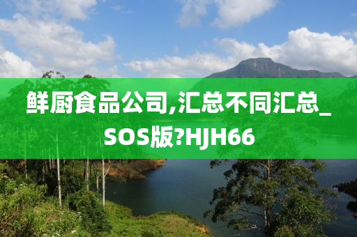 鲜厨食品公司,汇总不同汇总_SOS版?HJH66