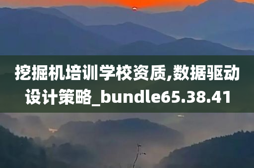 挖掘机培训学校资质,数据驱动设计策略_bundle65.38.41