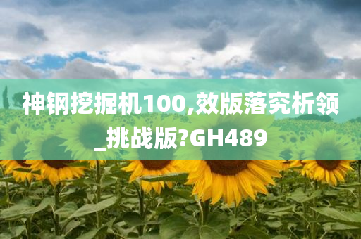 神钢挖掘机100,效版落究析领_挑战版?GH489