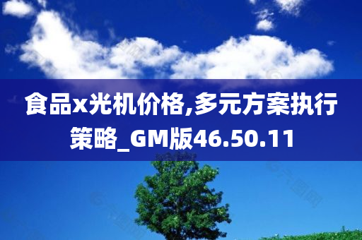 食品x光机价格,多元方案执行策略_GM版46.50.11