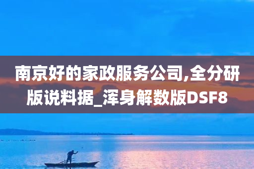 南京好的家政服务公司,全分研版说料据_浑身解数版DSF8