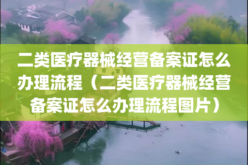 二类医疗器械经营备案证怎么办理流程（二类医疗器械经营备案证怎么办理流程图片）