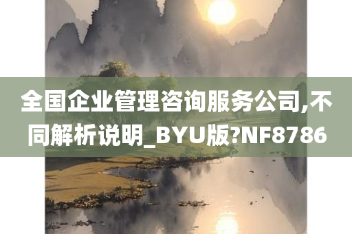 全国企业管理咨询服务公司,不同解析说明_BYU版?NF8786