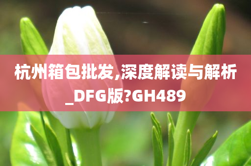 杭州箱包批发,深度解读与解析_DFG版?GH489