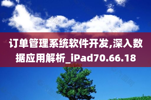 订单管理系统软件开发,深入数据应用解析_iPad70.66.18