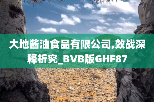 大地酱油食品有限公司,效战深释析究_BVB版GHF87