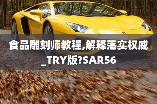 食品雕刻师教程,解释落实权威_TRY版?SAR56