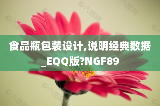 食品瓶包装设计,说明经典数据_EQQ版?NGF89