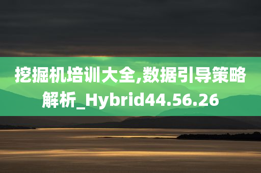 挖掘机培训大全,数据引导策略解析_Hybrid44.56.26